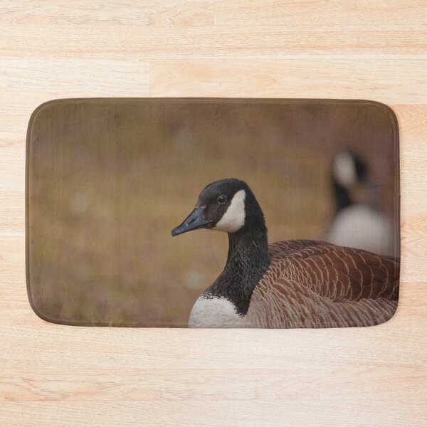 Item preview, A Canada goose resting in the grass designed and sold by Production Art Manon Meilleur.