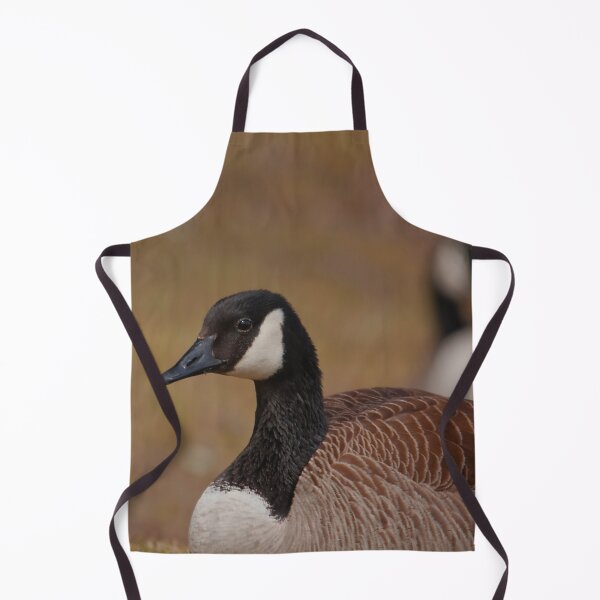 Item preview, A Canada goose resting in the grass designed and sold by Production Art Manon Meilleur.