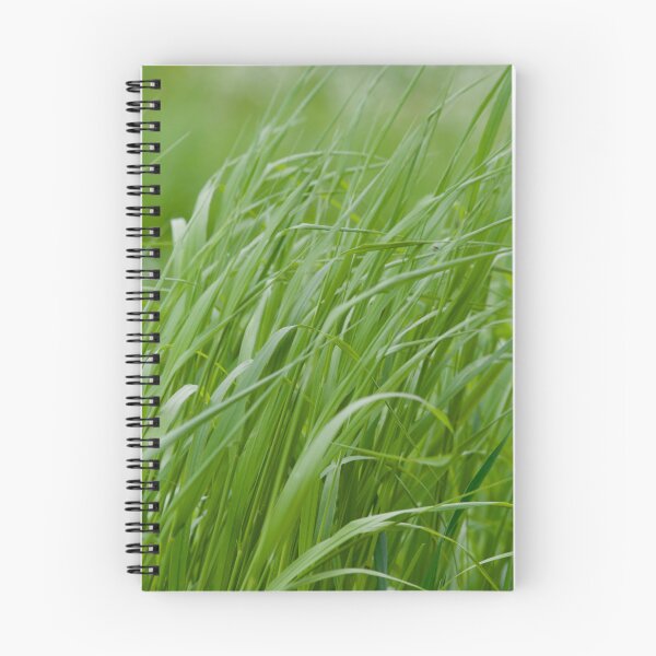 Item preview, Green Grass Flow – Nature-Inspired Calm designed and sold by PhotoJourneybyPernilla.