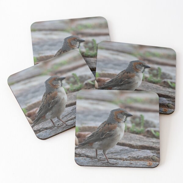 Item preview, A Little Kenya Rufous Sparrow designed and sold by KristalStittle.
