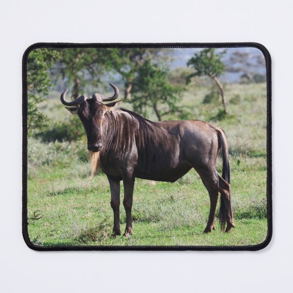 Item preview, Lone Wildebeest - Eastern Serengeti designed and sold by KristalStittle.