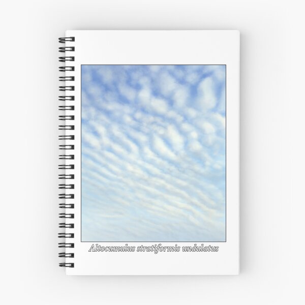 Item preview, Cloud Species Illustration - Altocumulus stratiformis undulatus designed and sold by Jakkuri.