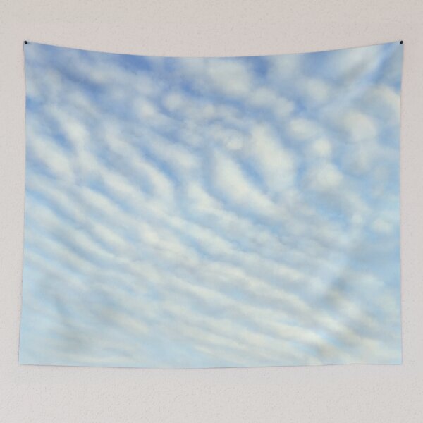 Item preview, Cloud Species Illustration - Altocumulus stratiformis undulatus designed and sold by Jakkuri.