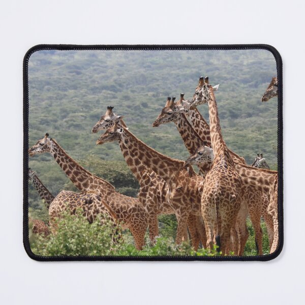 Item preview, A Staircase of Giraffes designed and sold by KristalStittle.