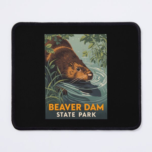 Item preview, Beaver Dam State Park - Illinois  designed and sold by GoodOldVintage.