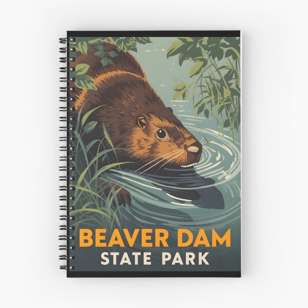 Item preview, Beaver Dam State Park - Illinois  designed and sold by GoodOldVintage.
