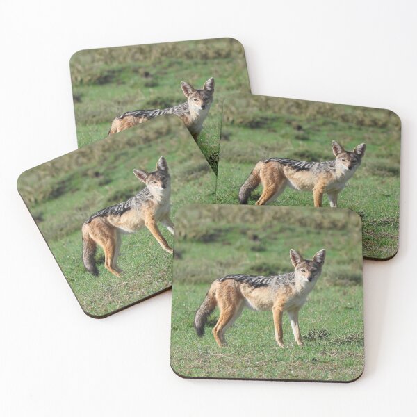 Item preview, A Black-Backed Jackal designed and sold by KristalStittle.