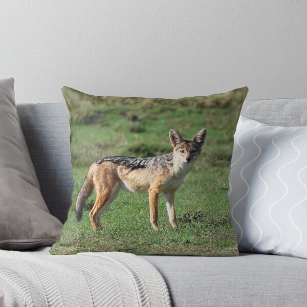 Item preview, A Black-Backed Jackal designed and sold by KristalStittle.