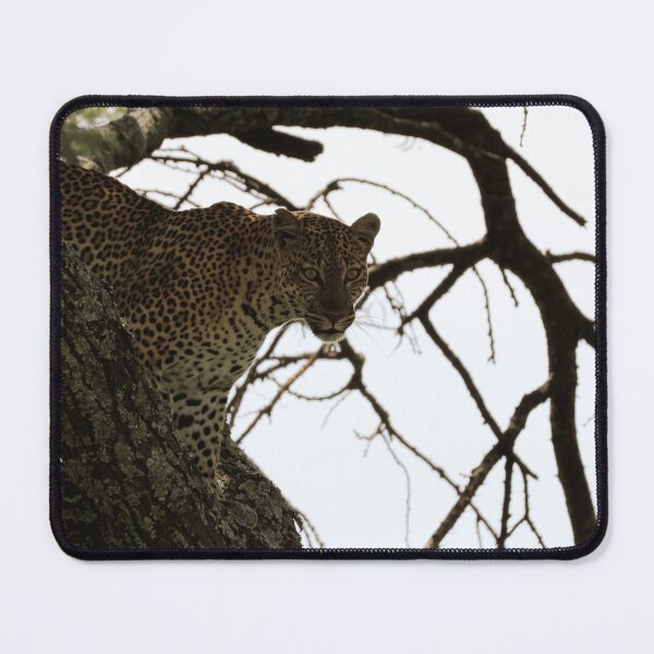 Item preview, The Leopard Watches You designed and sold by KristalStittle.
