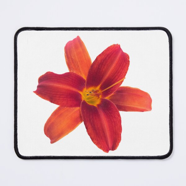 Item preview, Red Lily I designed and sold by thedragonwolf.
