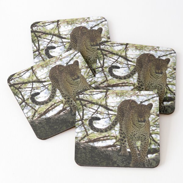 Item preview, Leopards are Ambush Predators designed and sold by KristalStittle.