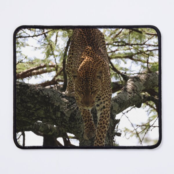 Item preview, The Leopard Descends From its Perch designed and sold by KristalStittle.