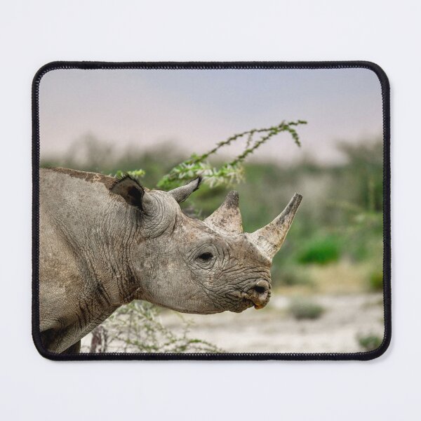 Item preview, Black Rhino Profile, Namibia designed and sold by DavideAntoniani.