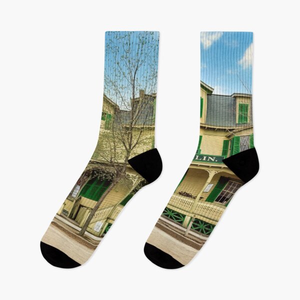 Item preview, Charming Historic Park Hotel with Victorian Architecture designed and sold by plugsnpixels.