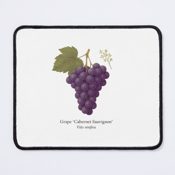 Item preview, Grape ‘Cabernet Sauvignon’ – Deep Red Wine Variety designed and sold by BloomKind.