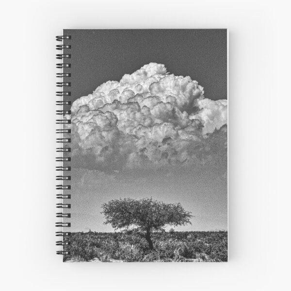 Item preview, Landscape of the Argentine highlands designed and sold by Keltoi-art.