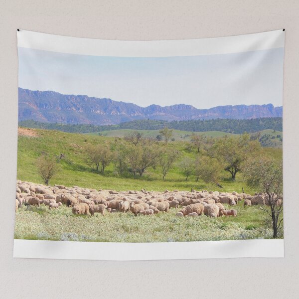 Item preview, Sheep grazing, Flinders Ranges, Australia designed and sold by FranWest.