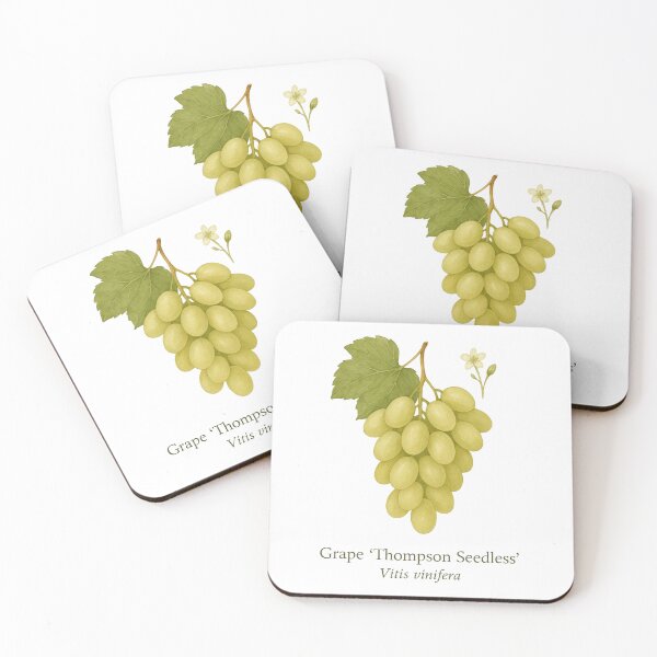 Item preview, Grape ‘Thompson Seedless’ – Green Table Grape Variety designed and sold by BloomKind.