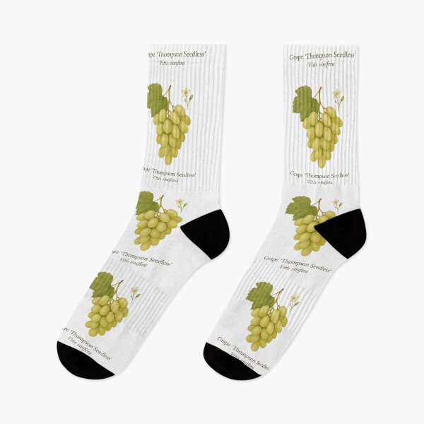 Item preview, Grape ‘Thompson Seedless’ – Green Table Grape Variety designed and sold by BloomKind.