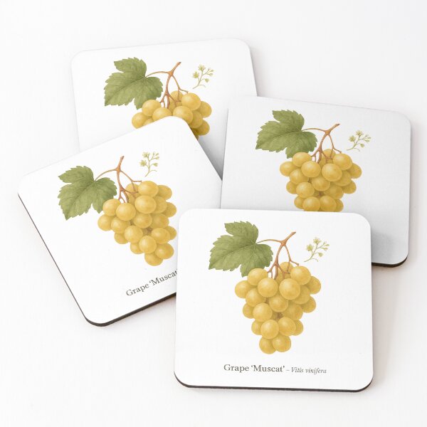 Item preview, Grape ‘Muscat’ – Golden Aromatic Wine Variety designed and sold by BloomKind.