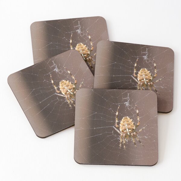 Item preview, Garden Spider designed and sold by jalfc46.