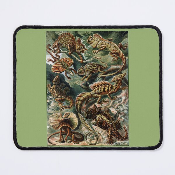 Item preview, Lizards: Ernst Haeckel designed and sold by Tridentulus.