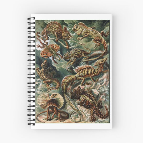 Item preview, Lizards: Ernst Haeckel designed and sold by Tridentulus.
