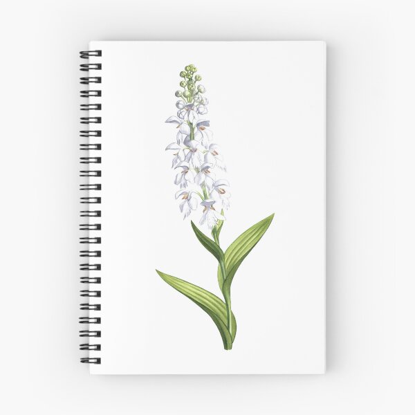 Item preview, White-fringed Orchid designed and sold by JadaFitch.