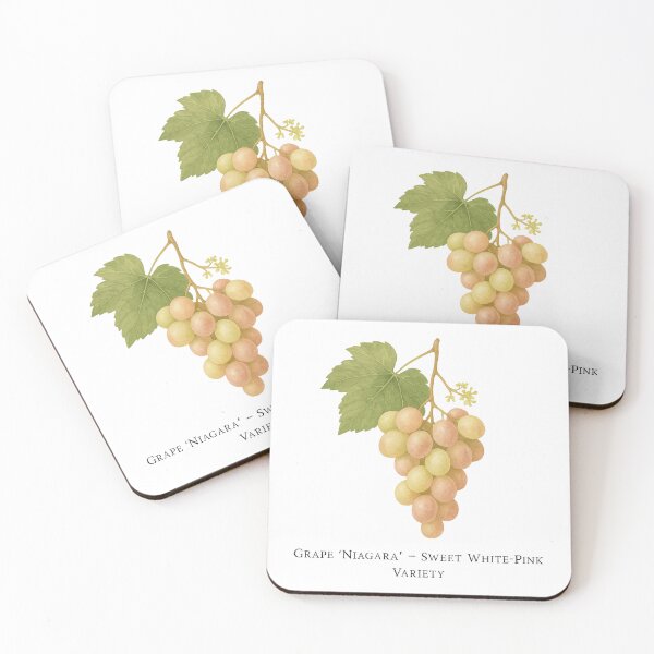Item preview, Grape ‘Niagara’ – Sweet White-Pink Variety designed and sold by BloomKind.