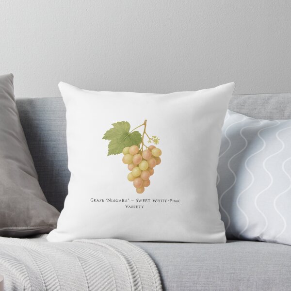 Item preview, Grape ‘Niagara’ – Sweet White-Pink Variety designed and sold by BloomKind.