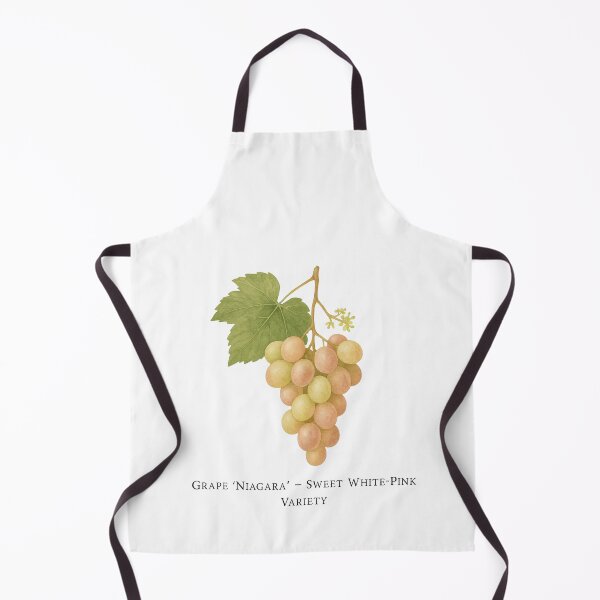 Item preview, Grape ‘Niagara’ – Sweet White-Pink Variety designed and sold by BloomKind.