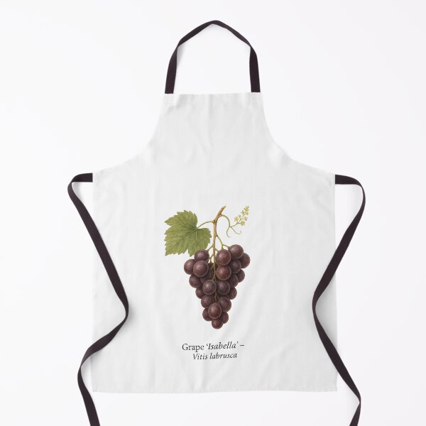 Item preview, Grape ‘Isabella’ – Dark Dessert Grape Variety designed and sold by BloomKind.