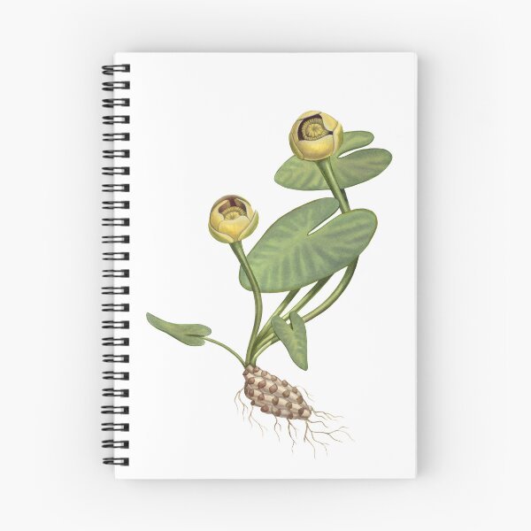 Item preview, Variegated Yellow Pond-Lily designed and sold by JadaFitch.