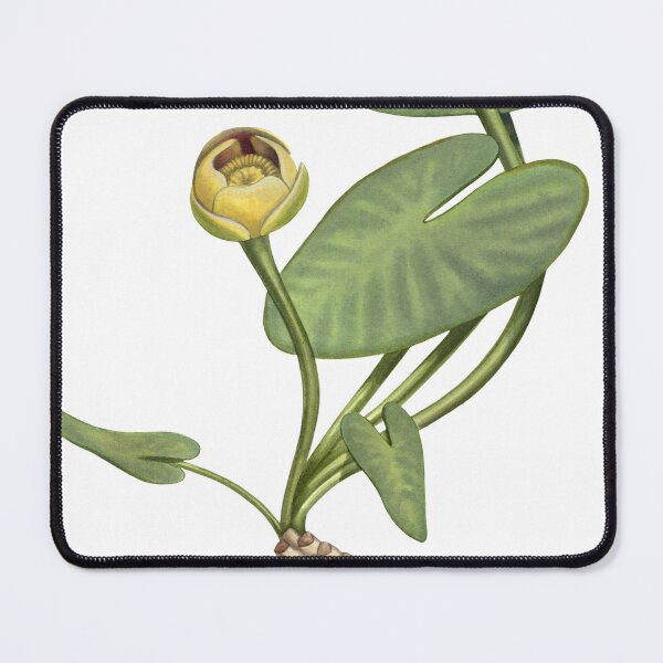 Item preview, Variegated Yellow Pond-Lily designed and sold by JadaFitch.