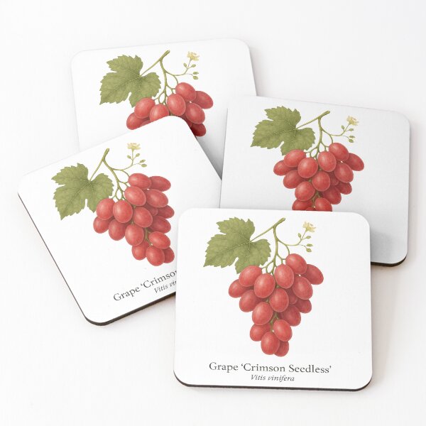 Item preview, Grape ‘Crimson Seedless’ – Red Seedless Table Grape designed and sold by BloomKind.