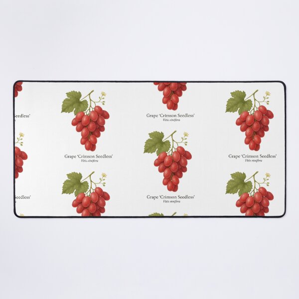 Item preview, Grape ‘Crimson Seedless’ – Red Seedless Table Grape designed and sold by BloomKind.