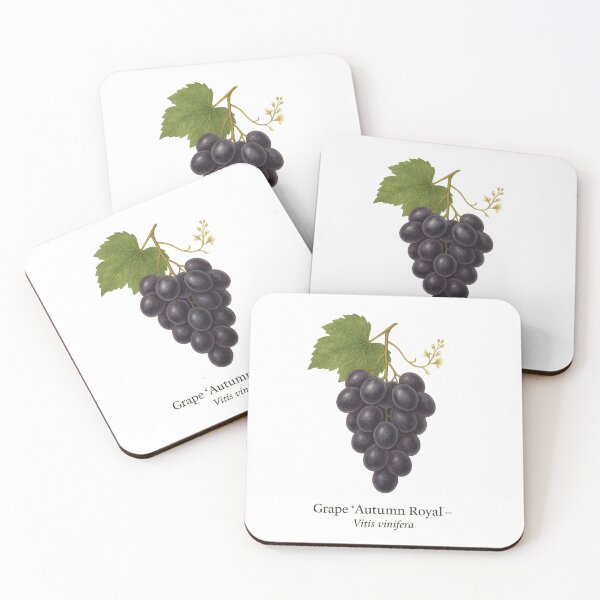 Item preview, Grape ‘Autumn Royal’ – Late Dark Violet Variety designed and sold by BloomKind.