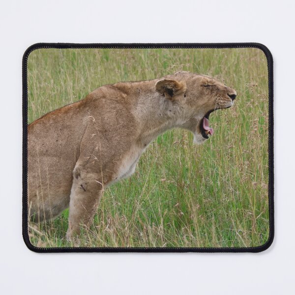 Item preview, A Lioness Yawns on the Serengeti designed and sold by KristalStittle.