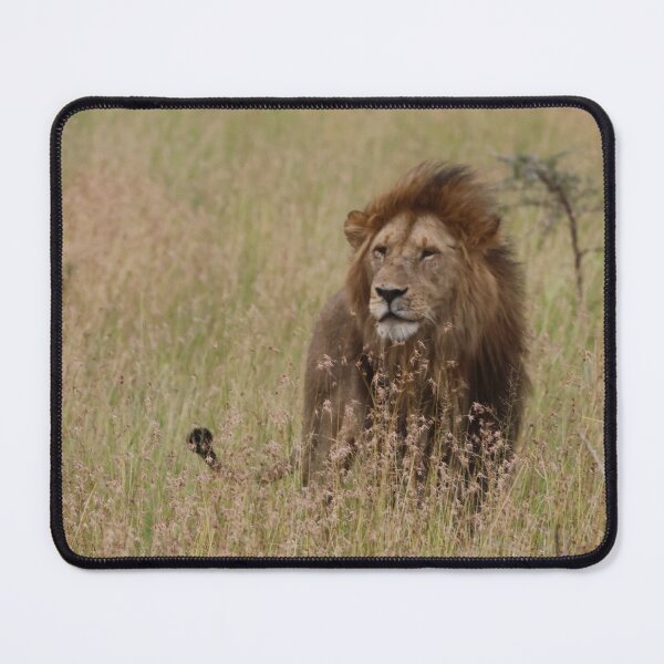 Item preview, King of the Lions designed and sold by KristalStittle.
