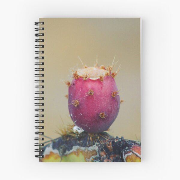 Item preview, Fruta de la tuna designed and sold by Tempraneo Photo.