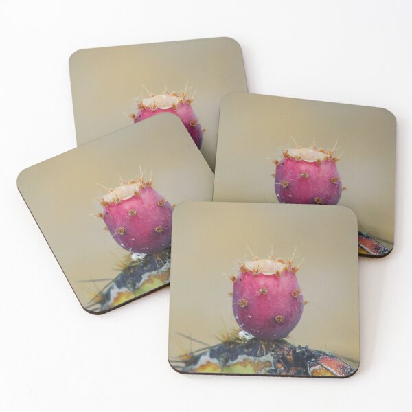 Item preview, Prickly Pear Fruit designed and sold by Tempraneo Photo.