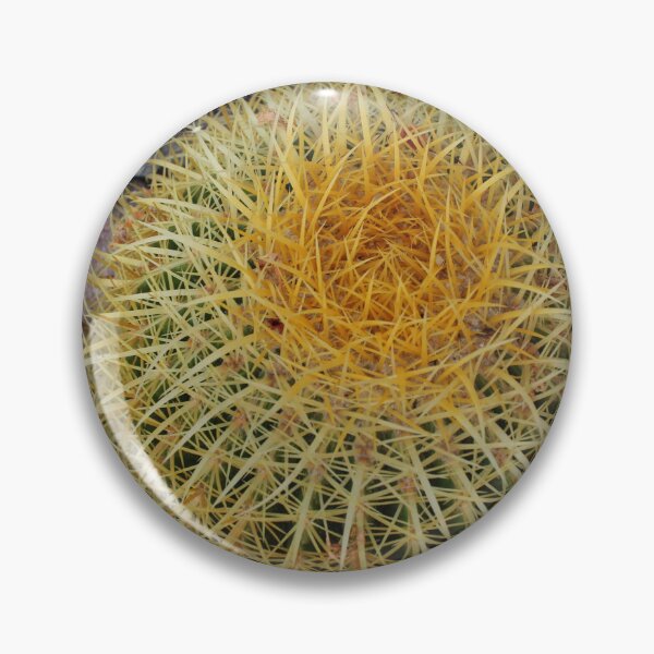 Artikelvorschau, Fasskaktus entworfen und verkauft von Tempraneo Photo.