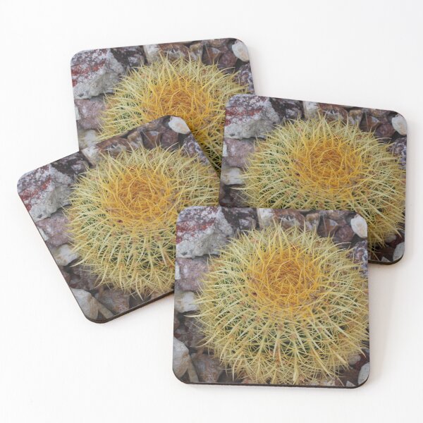 Item preview, Barrel Cactus designed and sold by Tempraneo Photo.