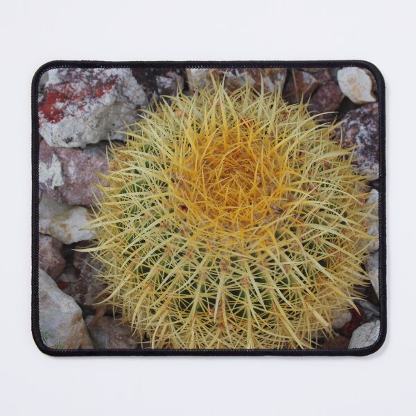 Item preview, Barrel Cactus designed and sold by Tempraneo Photo.