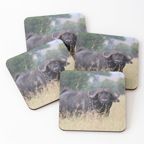 Item preview, Cape Buffalo With Flies designed and sold by KristalStittle.
