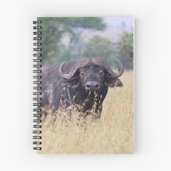 Item preview, Cape Buffalo With Flies designed and sold by KristalStittle.