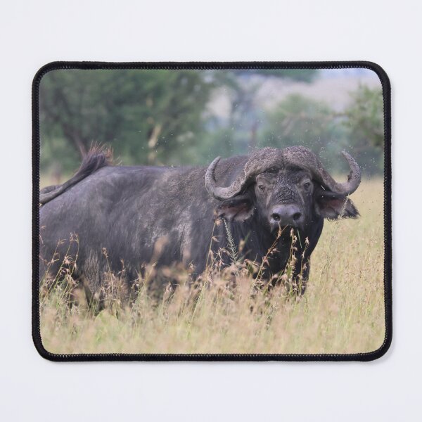 Item preview, Cape Buffalo With Flies designed and sold by KristalStittle.