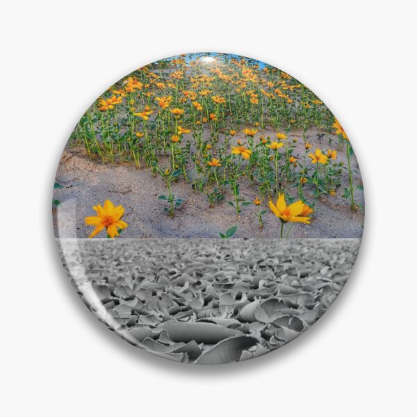 Item preview, Flowers above dry ground designed and sold by Tempraneo Photo.