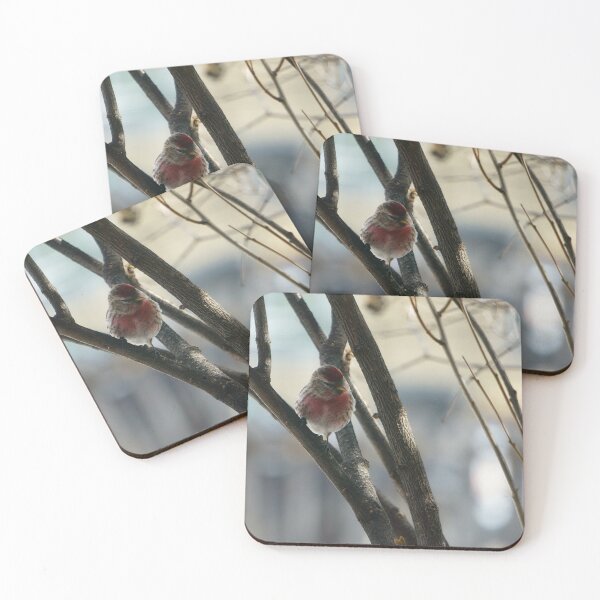 Item preview, Red Pol Perched on a Leafless Branch designed and sold by Vivar Photo.