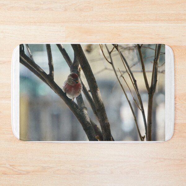 Item preview, Red Pol Perched on a Leafless Branch designed and sold by Vivar Photo.